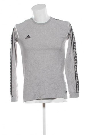 Pánske tričko  Adidas, Veľkosť S, Farba Sivá, Cena  23,95 €