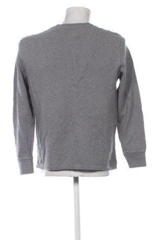 Ανδρική μπλούζα Calvin Klein Jeans, Μέγεθος M, Χρώμα Γκρί, Τιμή 26,99 €