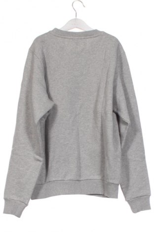 Herren Shirt Fjallraven, Größe XS, Farbe Grau, Preis 91,99 €