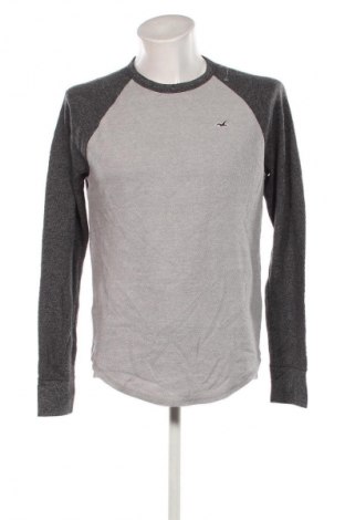 Herren Shirt Hollister, Größe L, Farbe Mehrfarbig, Preis € 18,99