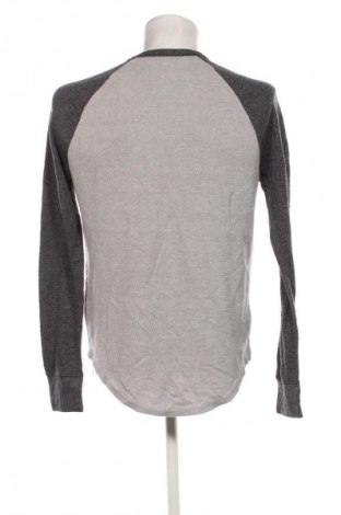 Herren Shirt Hollister, Größe L, Farbe Mehrfarbig, Preis € 18,99