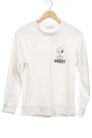 Herren Shirt Sandro, Größe XS, Farbe Weiß, Preis 34,99 €