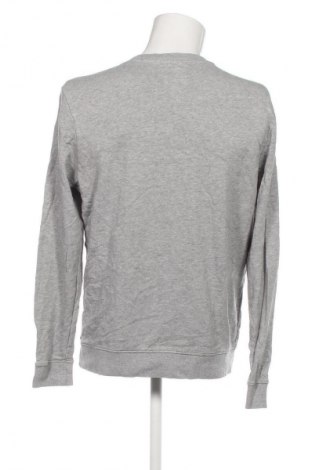Herren Shirt Tom Tailor, Größe XL, Farbe Grau, Preis 28,99 €