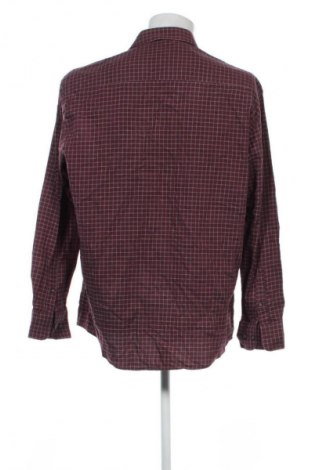 Herrenhemd Bexleys, Größe L, Farbe Mehrfarbig, Preis € 23,99