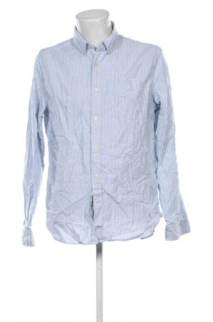 Herrenhemd Gap, Größe L, Farbe Mehrfarbig, Preis € 23,99