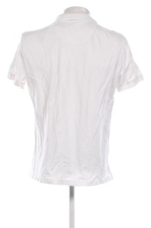 Męski T-shirt C&A, Rozmiar L, Kolor Biały, Cena 82,20 zł