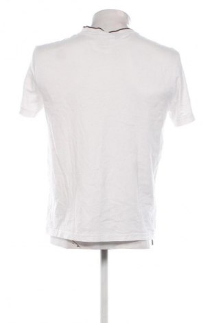 Herren T-Shirt Calvin Klein, Größe L, Farbe Weiß, Preis € 20,46