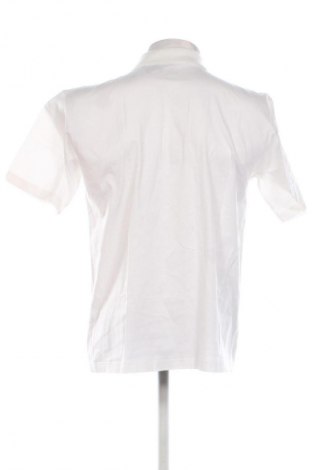 Tricou de bărbați Cotton Club, Mărime L, Culoare Multicolor, Preț 50,00 Lei