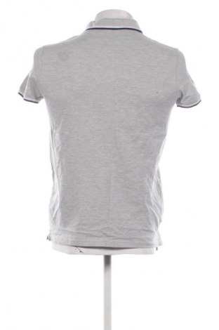 Herren T-Shirt Terranova, Größe M, Farbe Grau, Preis € 9,72