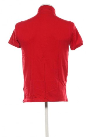 Pánské tričko  Tommy Hilfiger, Velikost M, Barva Červená, Cena  861,00 Kč