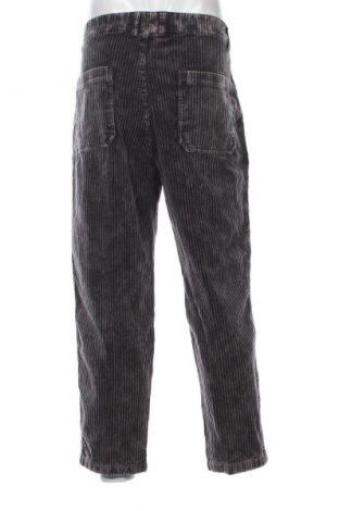 Herren Cordhose Scotch & Soda, Größe M, Farbe Mehrfarbig, Preis € 142,99