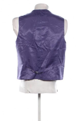 Pánska vesta  Bpc Bonprix Collection, Veľkosť L, Farba Viacfarebná, Cena  16,95 €