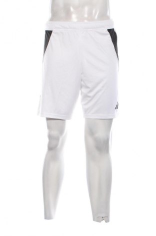 Herren Shorts Adidas, Größe M, Farbe Weiß, Preis € 53,99
