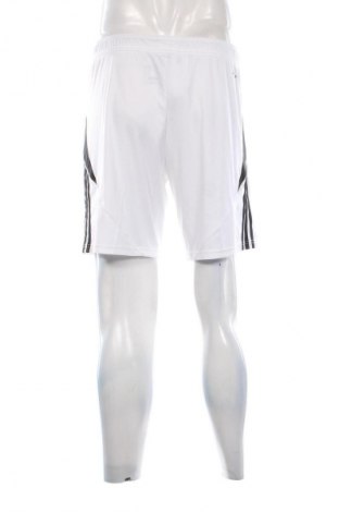 Herren Shorts Adidas, Größe M, Farbe Weiß, Preis € 53,99
