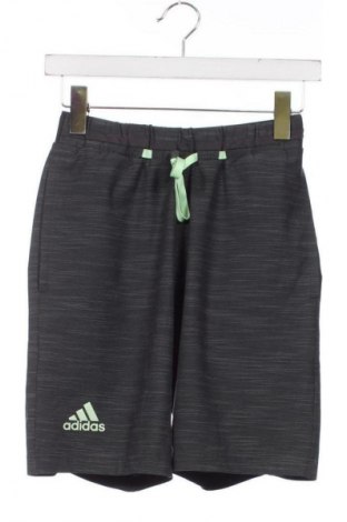 Herren Shorts Adidas, Größe XS, Farbe Mehrfarbig, Preis € 17,39