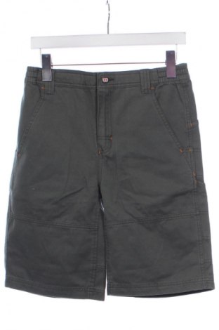 Herren Shorts Animal, Größe M, Farbe Grün, Preis 39,38 €
