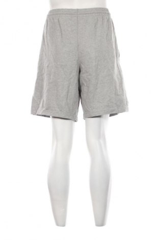 Pánske kraťasy  Nike, Veľkosť L, Farba Sivá, Cena  23,95 €