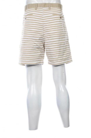 Herren Shorts Tom Tailor, Größe XXL, Farbe Mehrfarbig, Preis € 17,39