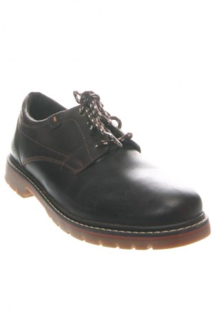 Pánske topánky AM SHOE, Veľkosť 43, Farba Hnedá, Cena  41,62 €