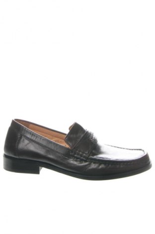 Pánske topánky Daniel Hechter, Veľkosť 41, Farba Hnedá, Cena  40,95 €