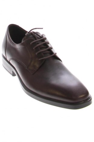 Herrenschuhe ECCO, Größe 43, Farbe Braun, Preis € 122,99