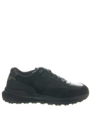 Herrenschuhe Geox, Größe 45, Farbe Schwarz, Preis € 117,99