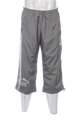 Pánske nohavice  PUMA, Veľkosť L, Farba Sivá, Cena  28,00 €