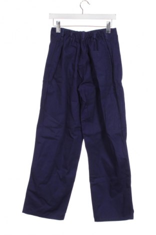 Herrenhose Unbranded, Größe S, Farbe Blau, Preis 20,03 €