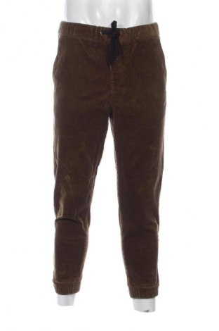 Herrenhose Zara, Größe S, Farbe Braun, Preis € 13,81