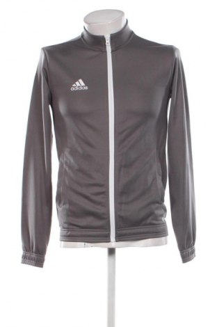 Мъжко спортно горнище Adidas, Размер L, Цвят Сив, Цена 48,88 лв.