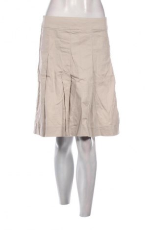 Φούστα Zara, Μέγεθος M, Χρώμα Γκρί, Τιμή 10,24 €