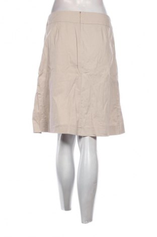 Φούστα Zara, Μέγεθος M, Χρώμα Γκρί, Τιμή 10,24 €