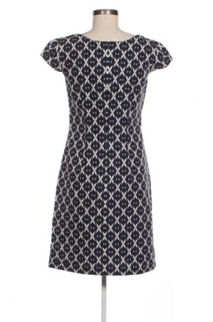 Kleid Betty Barclay, Größe S, Farbe Mehrfarbig, Preis € 37,99