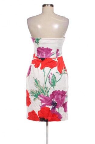 Φόρεμα Coast, Μέγεθος M, Χρώμα Πολύχρωμο, Τιμή 58,76 €