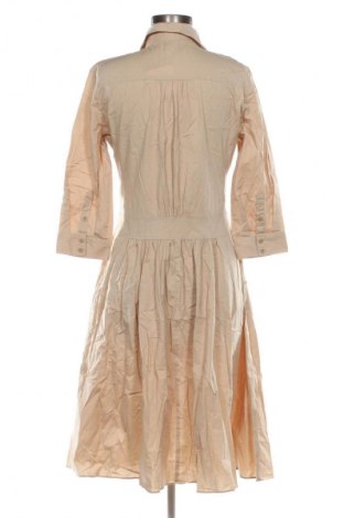 Kleid Cyrillus, Größe M, Farbe Beige, Preis 56,99 €