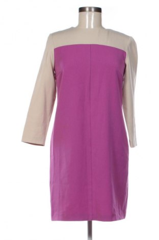 Šaty  Dorothy Perkins, Velikost S, Barva Vícebarevné, Cena  342,00 Kč