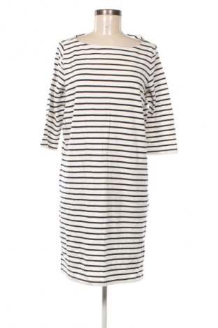 Kleid Esmara, Größe XL, Farbe Mehrfarbig, Preis € 20,99