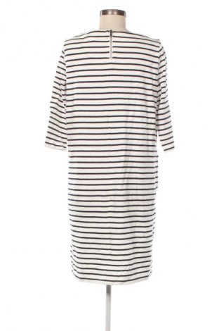 Kleid Esmara, Größe XL, Farbe Mehrfarbig, Preis € 20,99