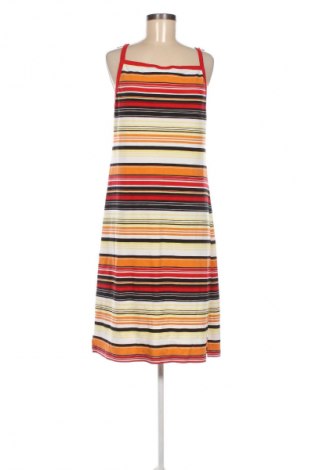 Kleid Lacoste, Größe XXL, Farbe Mehrfarbig, Preis € 130,00