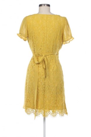 Kleid Little Mistress, Größe S, Farbe Gelb, Preis 24,55 €