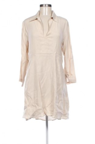 Kleid Massimo Dutti, Größe S, Farbe Beige, Preis 41,98 €