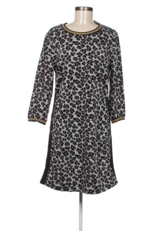 Kleid More & More, Größe XL, Farbe Mehrfarbig, Preis € 57,99