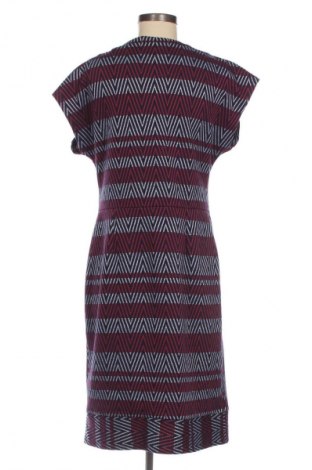 Kleid Next, Größe XL, Farbe Mehrfarbig, Preis 24,48 €