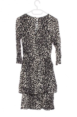 Kleid Oasis, Größe XS, Farbe Mehrfarbig, Preis 13,99 €