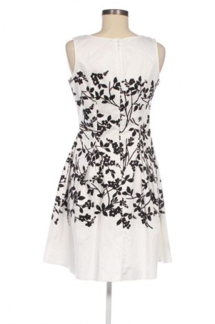 Kleid Orsay, Größe M, Farbe Mehrfarbig, Preis 14,83 €
