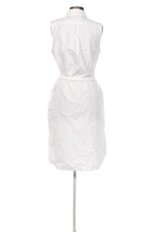 Kleid Polo Ralph Lauren, Größe S, Farbe Weiß, Preis € 249,99