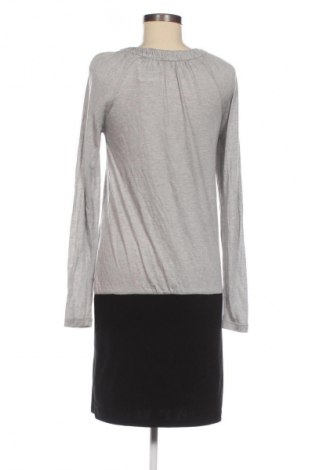 Rochie Ted Baker, Mărime XS, Culoare Multicolor, Preț 411,58 Lei