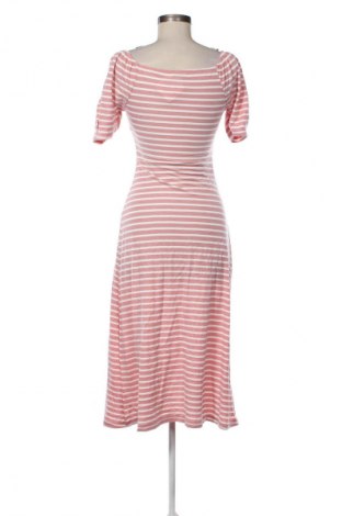 Kleid Warehouse, Größe XS, Farbe Mehrfarbig, Preis € 24,55