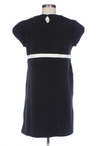 Kleid Zara, Größe L, Farbe Schwarz, Preis 29,16 €