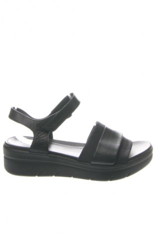 Sandalen Stonefly, Größe 39, Farbe Schwarz, Preis 45,52 €